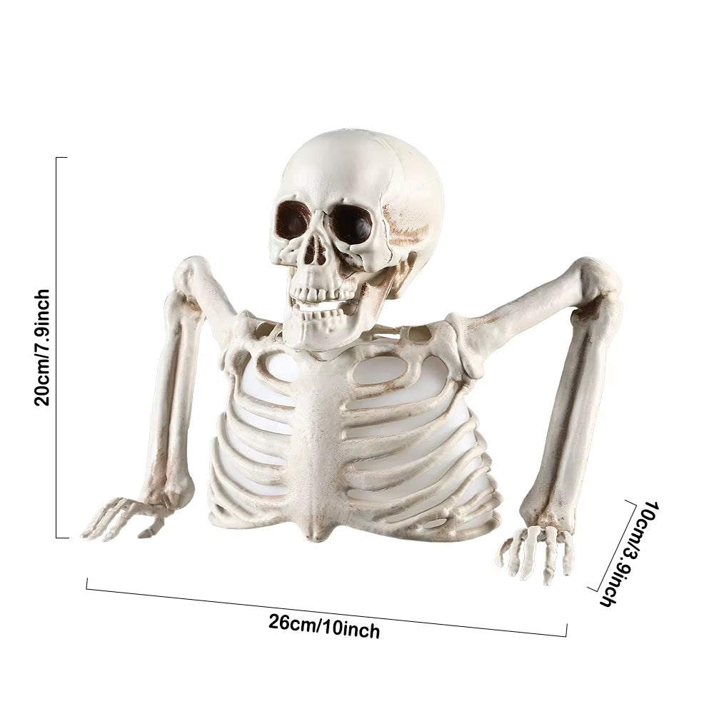 Halloween | Horror Glowing Skull Skeleton Decoration