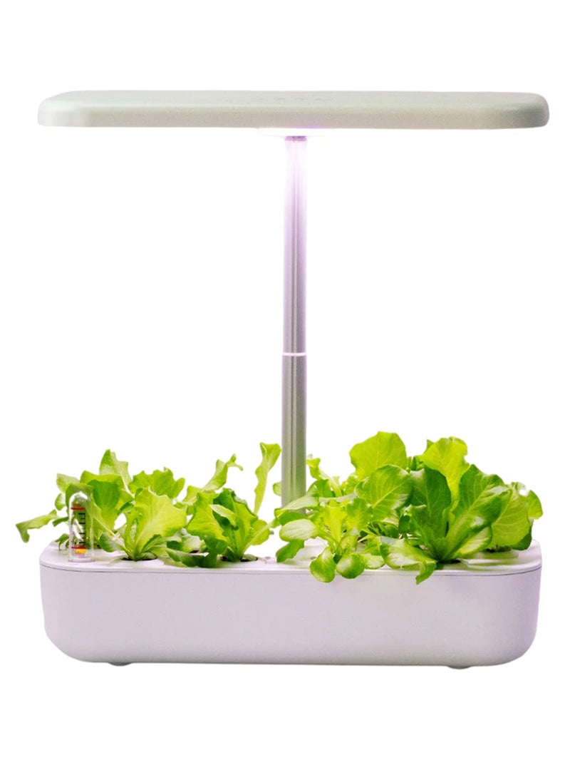 Hydroponics Growing System for Indoor Garden