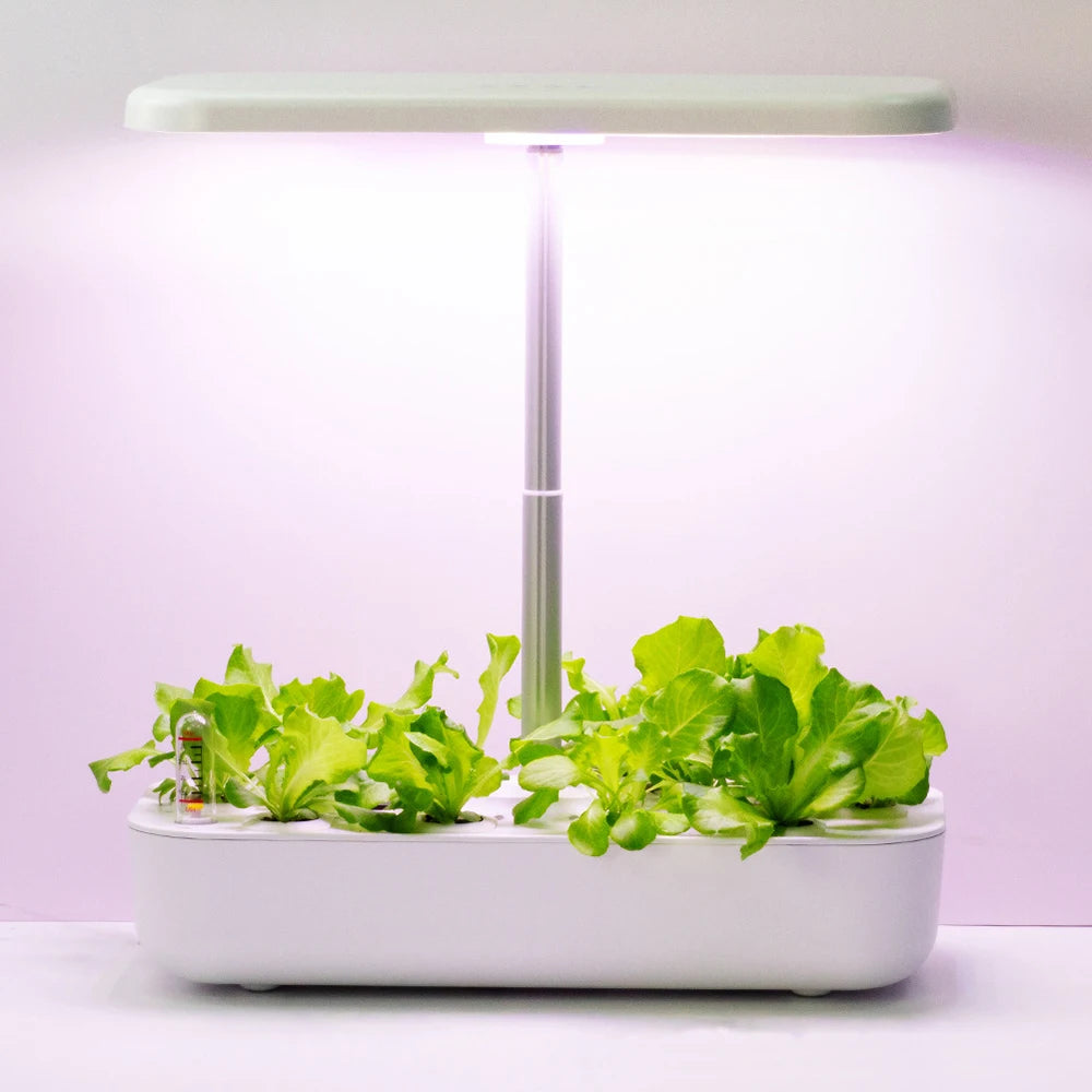 Hydroponics Growing System for Indoor Garden