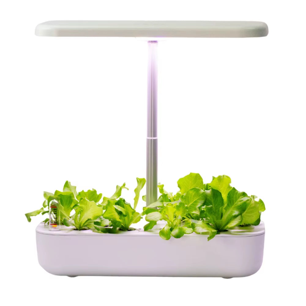Hydroponics Growing System for Indoor Garden