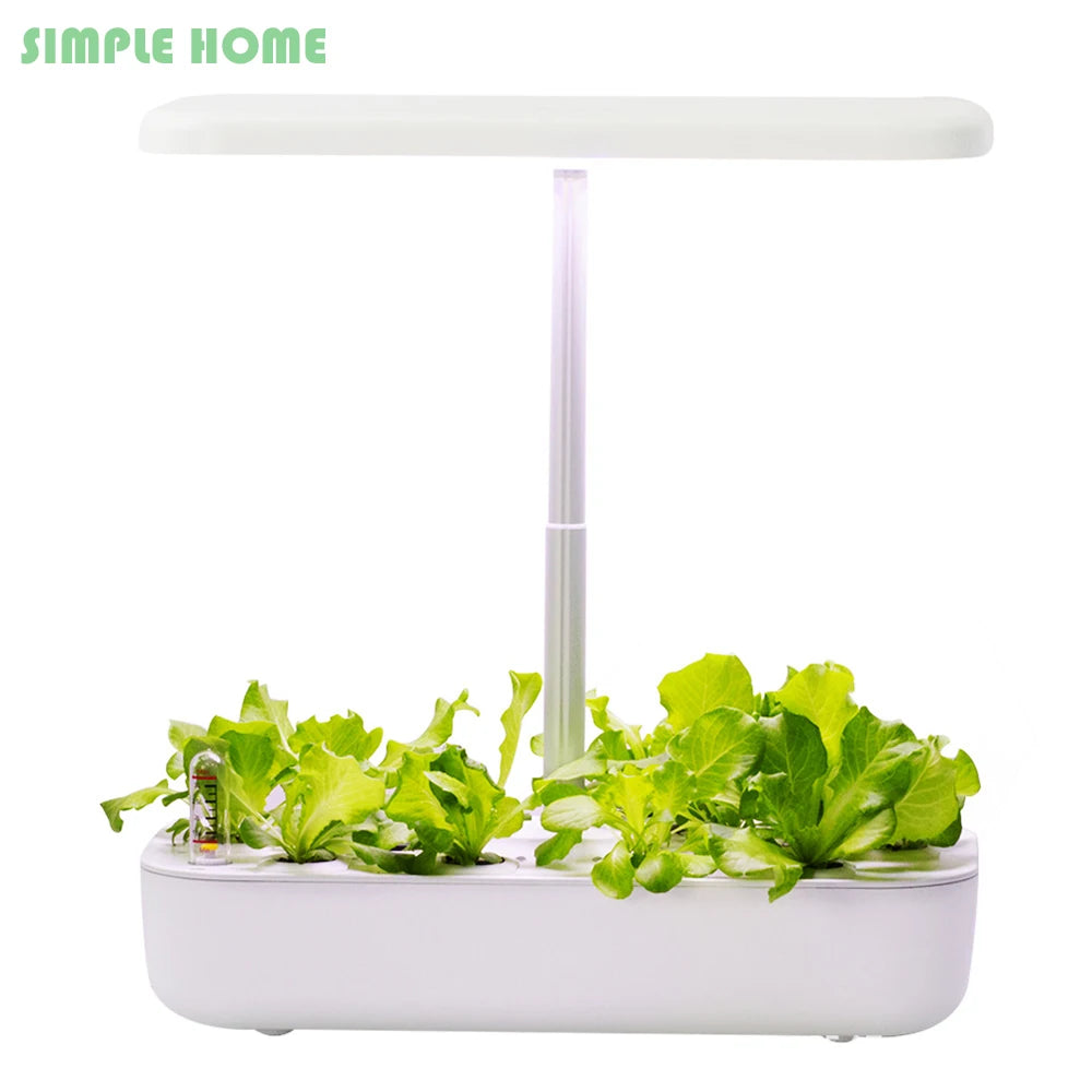 Hydroponics Growing System for Indoor Garden