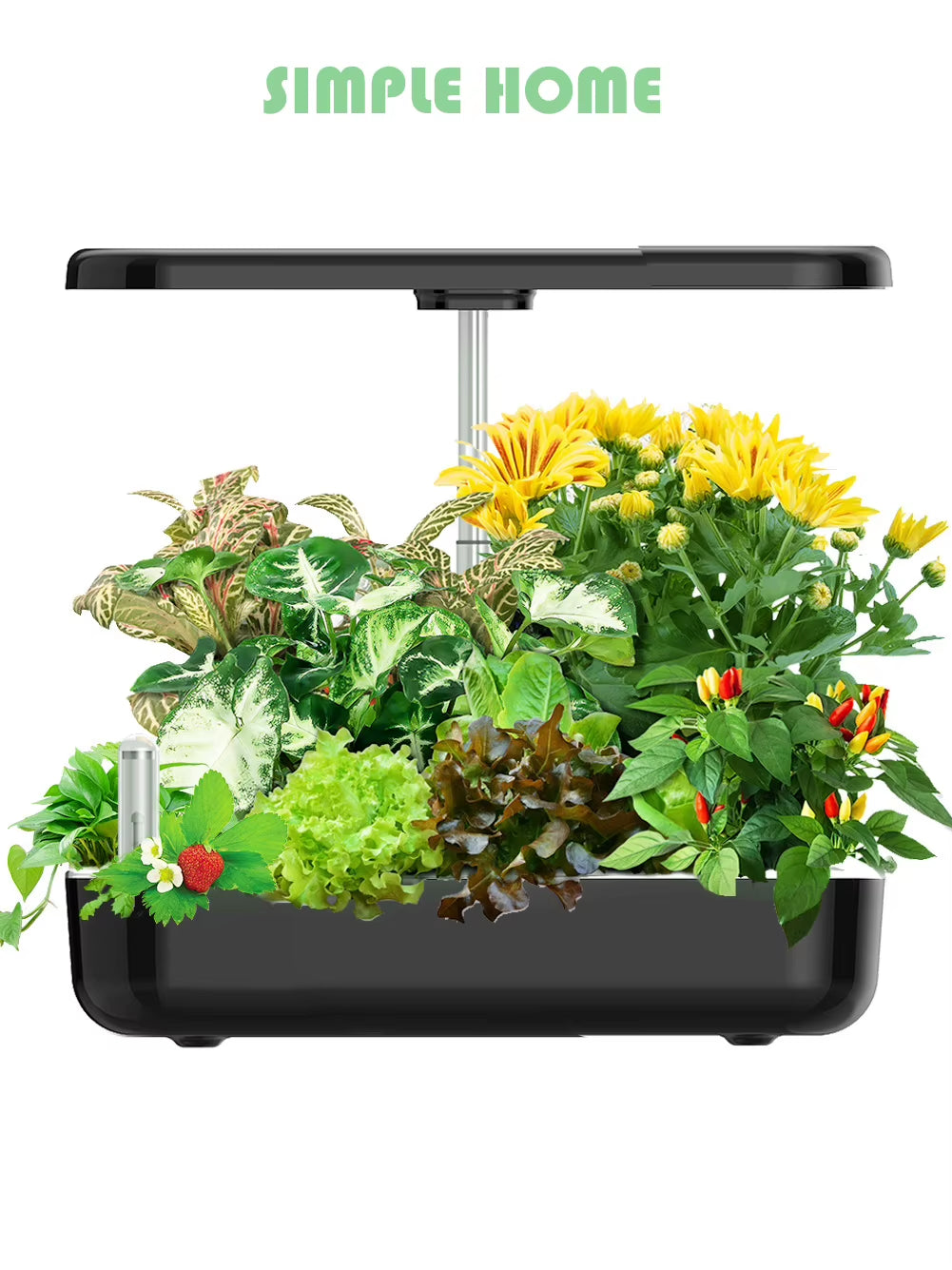 Hydroponics Growing System for Indoor Garden