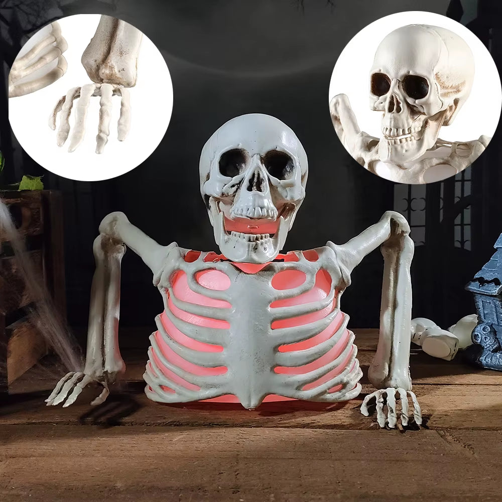 Halloween | Horror Glowing Skull Skeleton Decoration