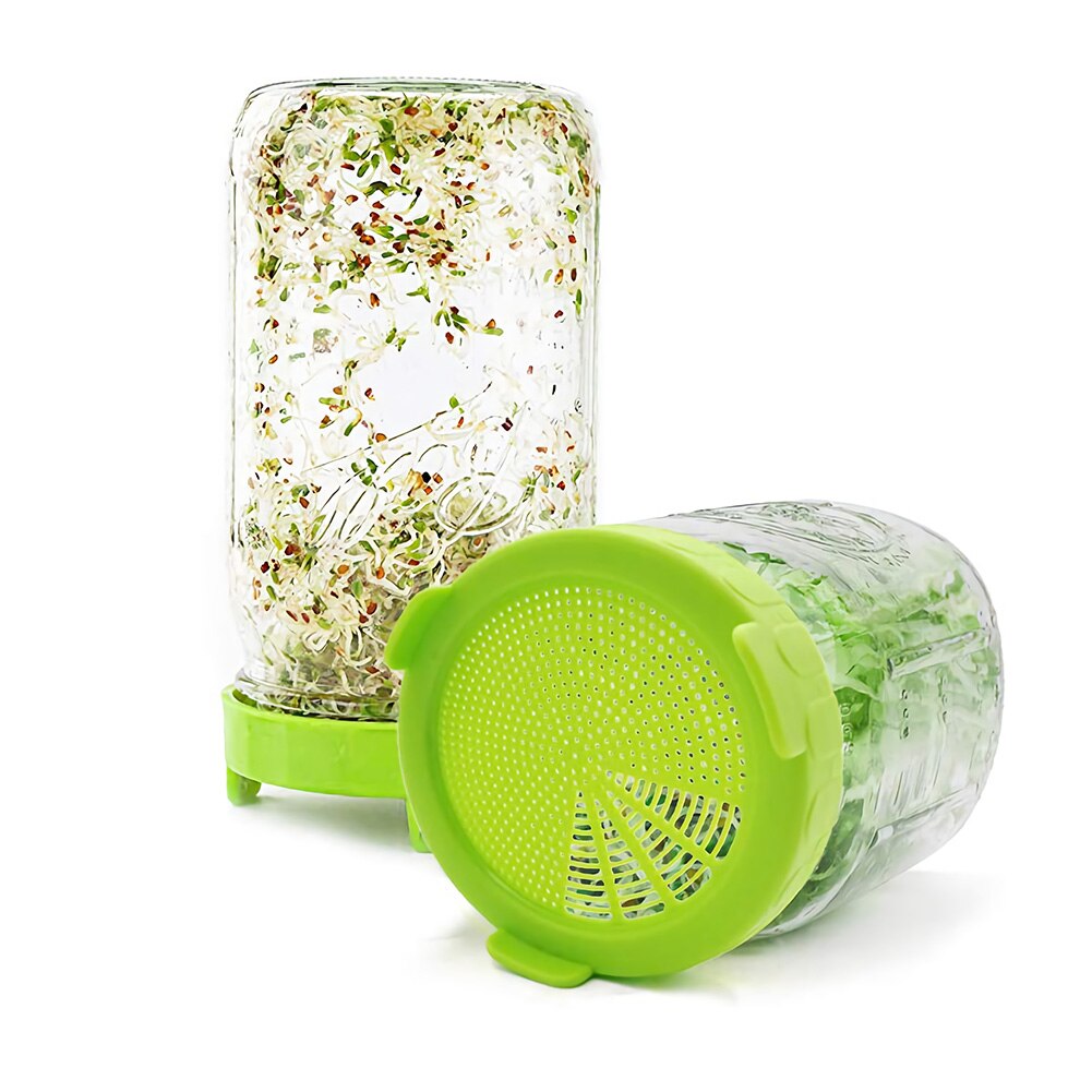 🌱 Harvest Health at Home: The Mason Jar Sprouting Lid Set