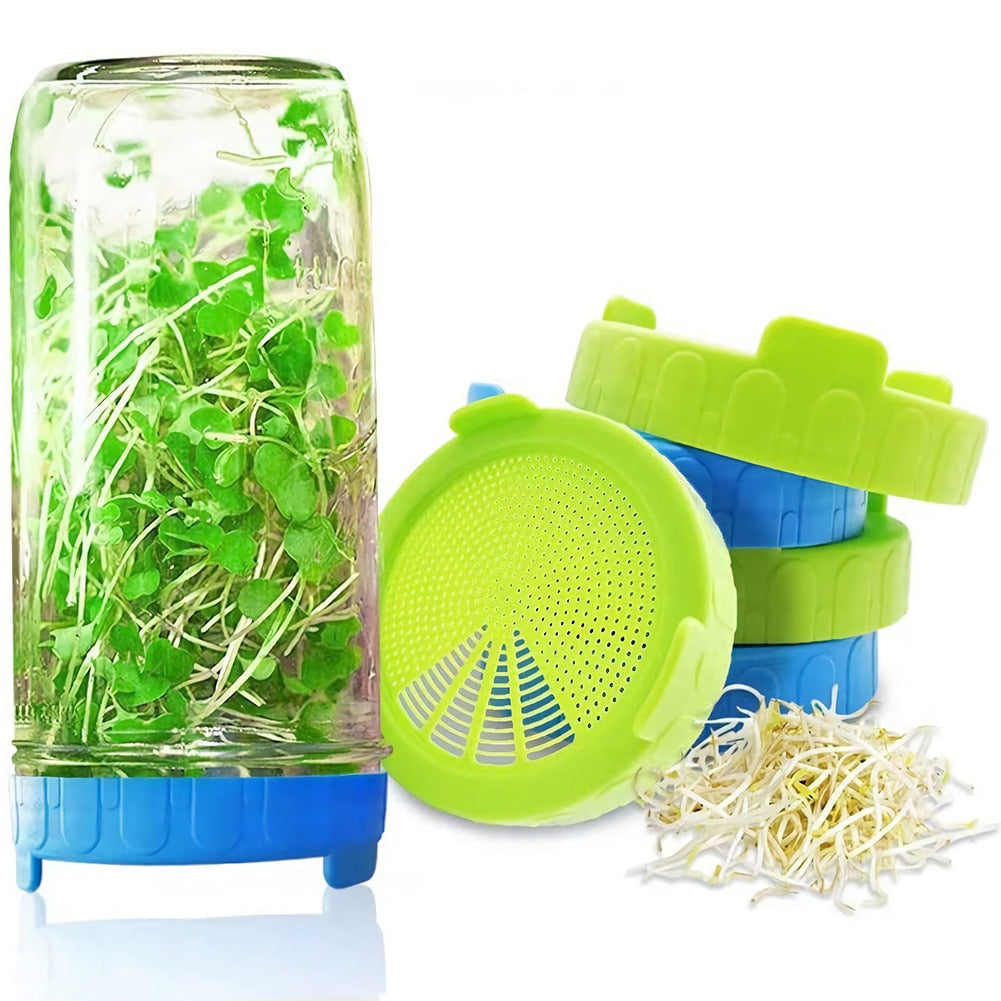 🌱 Harvest Health at Home: The Mason Jar Sprouting Lid Set