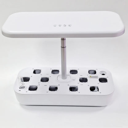 Hydroponics Growing System for Indoor Garden