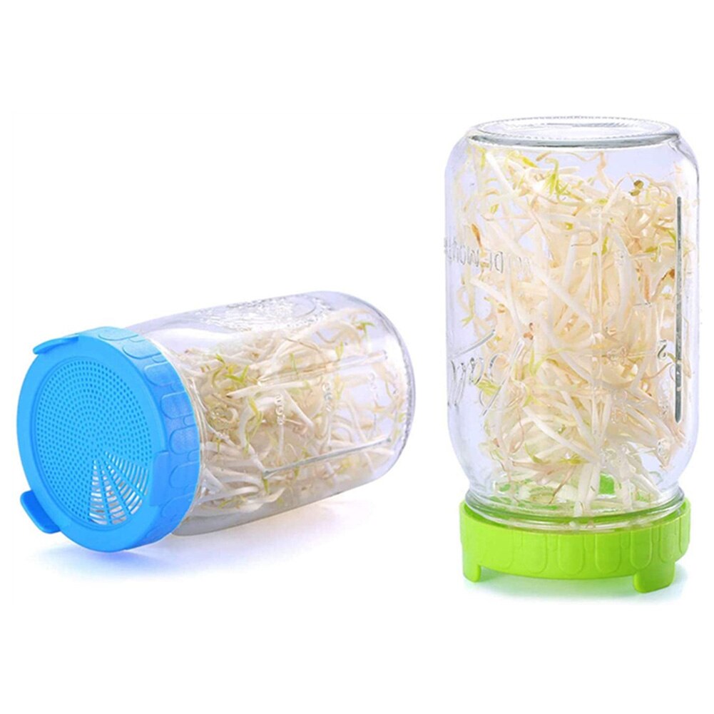 🌱 Harvest Health at Home: The Mason Jar Sprouting Lid Set