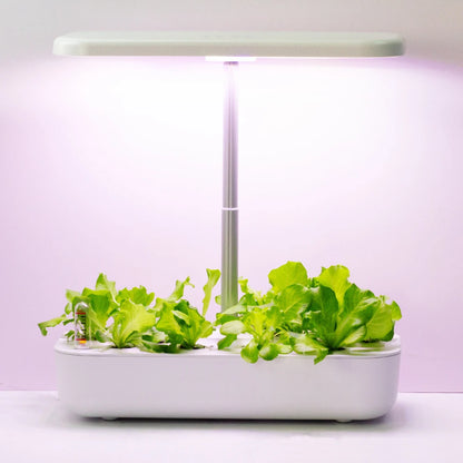 Hydroponics Growing System for Indoor Garden