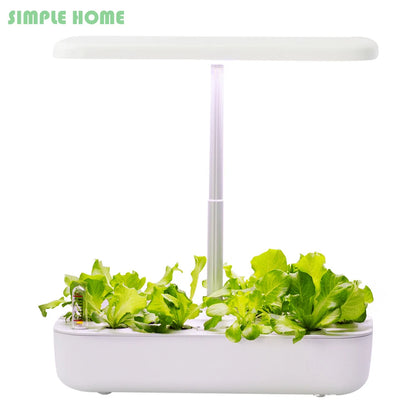 Hydroponics Growing System for Indoor Garden