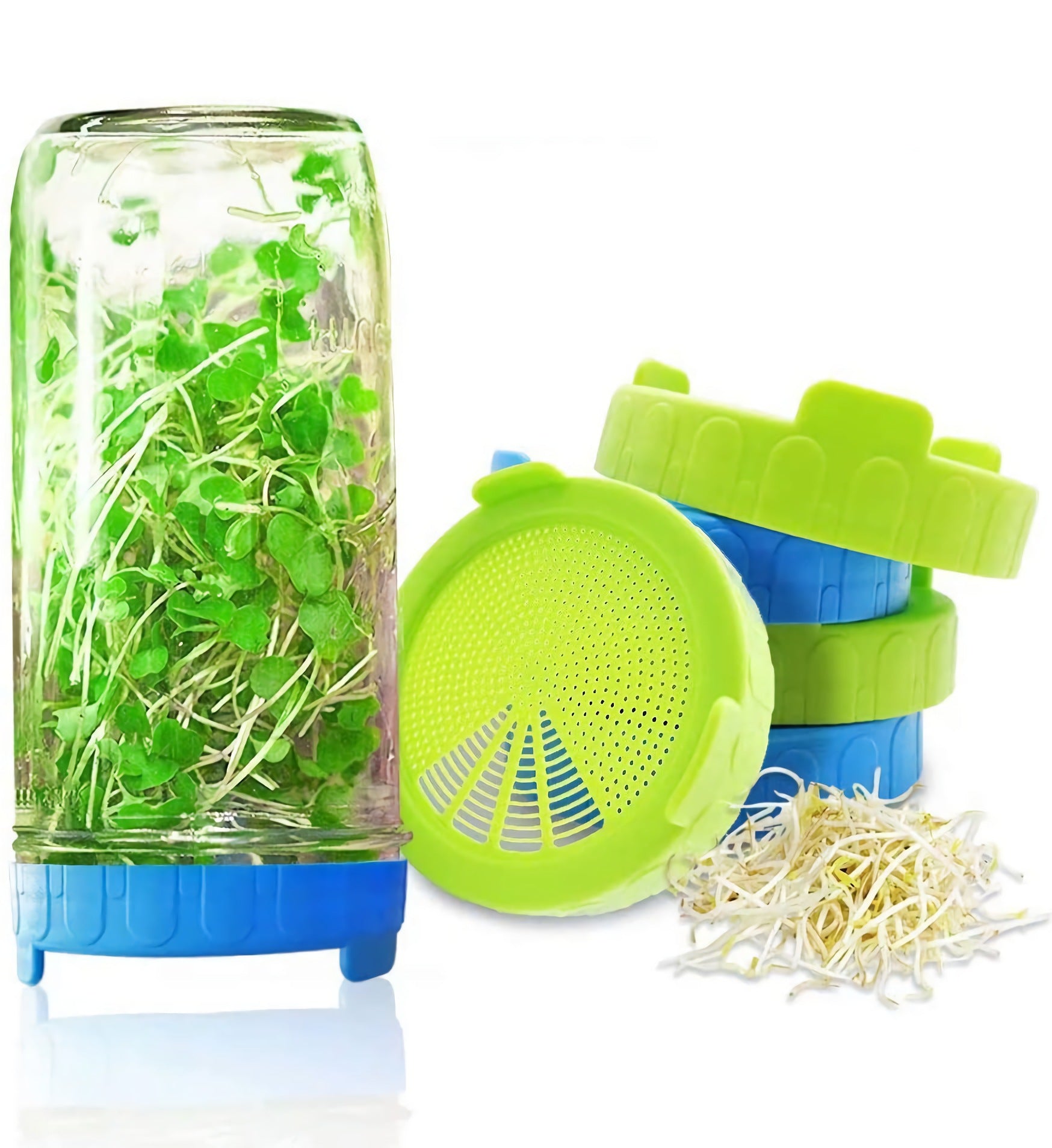 🌱 Harvest Health at Home: The Mason Jar Sprouting Lid Set