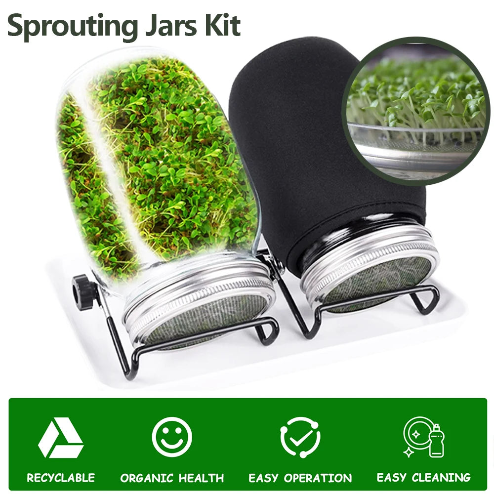 🌱 Harvest Health at Home: The Deluxe Glass Seed Sprouting Jar Kit