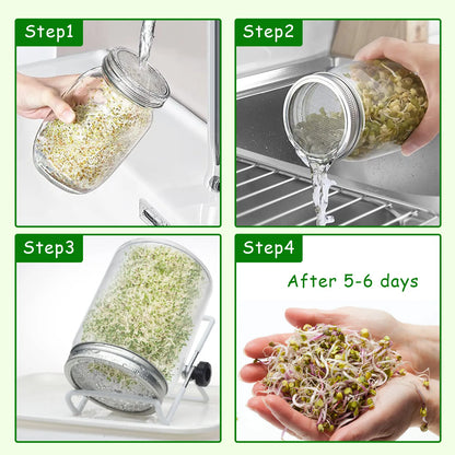 🌱 Harvest Health at Home: The Deluxe Glass Seed Sprouting Jar Kit