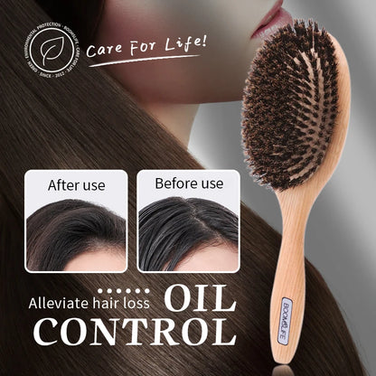 Boar Bristle Hair Brush for Hair Detangle