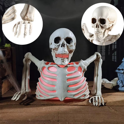 Halloween | Horror Glowing Skull Skeleton Decoration